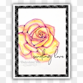 Lazy Watercolor Effect Concord & 9th Rose By Understand - Floribunda, HD Png Download - watercolor roses png