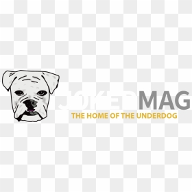 Jokermag Logo - Mobile Phone, HD Png Download - dwight schrute png