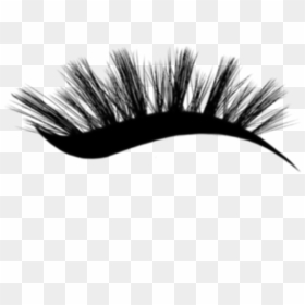 Eyelash, HD Png Download - pestañas png