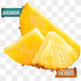 Juice Pi A Pineapple Slice Pia - Fruits Hd Images Single Png, Transparent Png - pineapple slice png