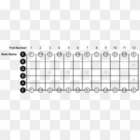 Names Of Notes On E String, HD Png Download - hanging string png