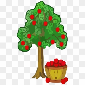 Clipart Apple Trees, HD Png Download - green tree png