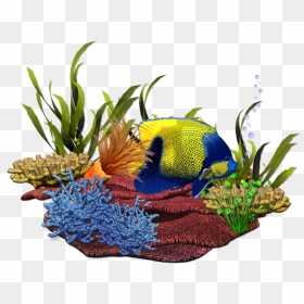 Seaside Clipart Ocean Life - Sea Plants Png, Transparent Png - aquarium png