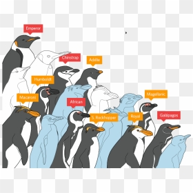 Emperor Penguin Threats , Png Download - Penguins Affected By Pollution, Transparent Png - emperor penguin png