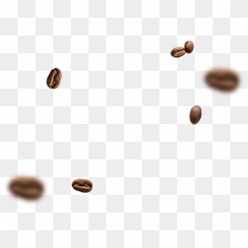 Seed, HD Png Download - granos de cafe png