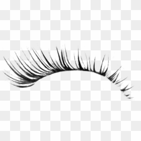 #pestañas #makeup - Natural Eyelash Png, Transparent Png - pestañas png
