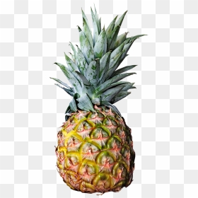 Pineapple Fresh Fruit Free Photo - Pineapples Png, Transparent Png - pineapple slice png