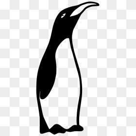 Desenho De Pinguim Em Preto E Branco, HD Png Download - emperor penguin png