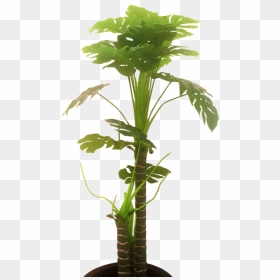 Houseplant, HD Png Download - green tree png