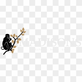 Classic Cocktails From Madisons “rusty Nail” - Madison Ζακυνθοσ Ρεβεγιον Menu, HD Png Download - rusty nail png