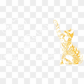Illustration, HD Png Download - gatos png