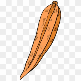 Carrot Cut In Half Clipart - Illustration, HD Png Download - cut line png