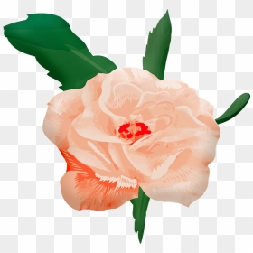 Rosa En Acuarela Png, Transparent Png - watercolor roses png