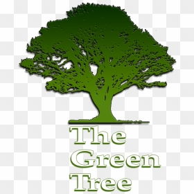 Green Tree Restaurant Chillicothe Ohio Logo, HD Png Download - green tree png