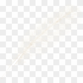 Feather Clipart Image Download, HD Png Download - feather clipart png