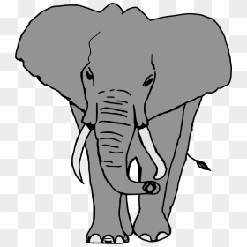 Elefante Clip Arts, HD Png Download - elefante png