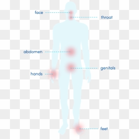 Angioedema On Parts Of Body, HD Png Download - person standing png back