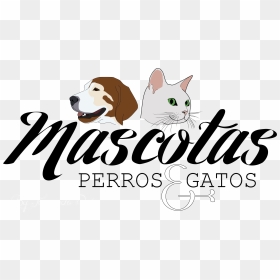 Mascotas, Perros & Gatos - Domestic Short-haired Cat, HD Png Download - gatos png