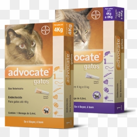 Advocate® Gatos - Tratamento Sarna Em Gatos, HD Png Download - gatos png