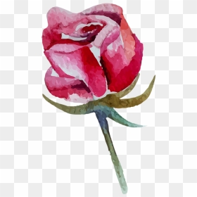 Rose - Watercolor Painting, HD Png Download - watercolor roses png