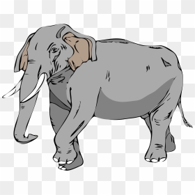 Transparent Elefante Png - Elephant Clip Art, Png Download - elefante png