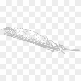 Feather Clip Art, HD Png Download - feather clipart png