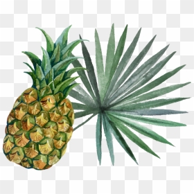 Pineapple With Leaf - Pineapple, HD Png Download - pineapple slice png