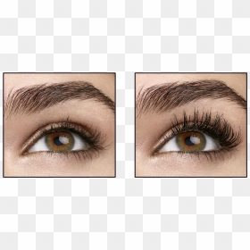 Maybelline Mascara Total Temptation, HD Png Download - pestañas png