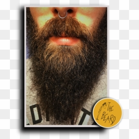 Barba E Piercing - Animal, HD Png Download - hipster mustache png