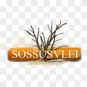 Calligraphy, HD Png Download - sand dunes png