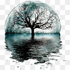 #moon #tree #silhouette #water #reflection #remixit - Moon And A Tree, HD Png Download - water reflection png