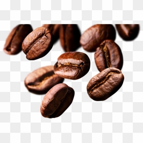 El Águila Del Caribe Granos Café - Java Coffee, HD Png Download - granos de cafe png