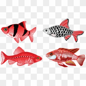 Four Fish Png, Transparent Png - aquarium png