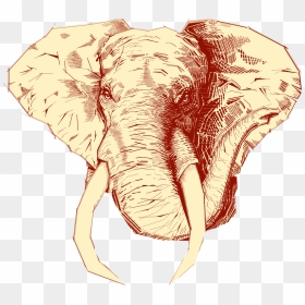 Logo Tecate Arcadia Elefante , Png Download - Logo Tecate Arcadia Elefante, Transparent Png - elefante png