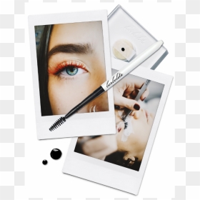 # - Mascara, HD Png Download - borboleta png