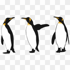 Three King Penguins - Penguins Clipart Black And White, HD Png Download - emperor penguin png
