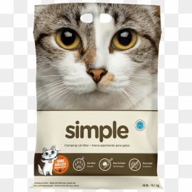 Intersand Simple, HD Png Download - gatos png