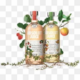 Apple On A Branch, HD Png Download - absolut vodka png