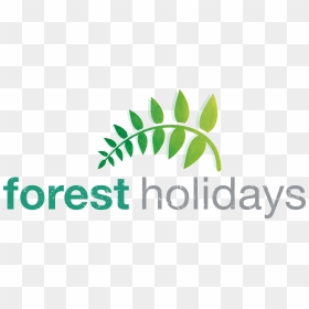 Forest Holidays Logo, HD Png Download - the forest logo png