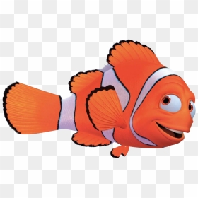 Nemo Transparent - Marlin Nemo Transparent Background, HD Png Download - finding nemo marlin png