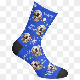 Custom Photo Socks, HD Png Download - christmas lights.png