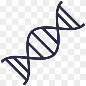 Dna - Dna Clipart, HD Png Download - saliva png