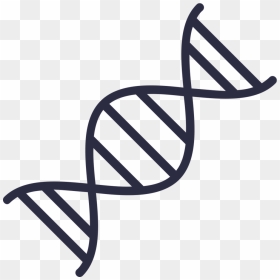 Dna - Dna Clipart, HD Png Download - saliva png