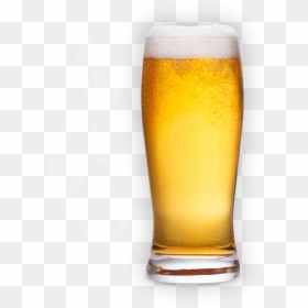 Beer And Hops - Pint Beer Png, Transparent Png - glass of beer png
