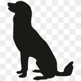 Pet Sitting Labrador Retriever Puppy Golden Retriever - Free Golden Retriever Silhouette Sitting Transparent, HD Png Download - golden retriever puppy png