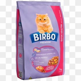 Kitten, HD Png Download - gatos png