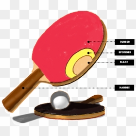 Best Table Tennis Paddle - Ping Pong, HD Png Download - ping pong paddle png