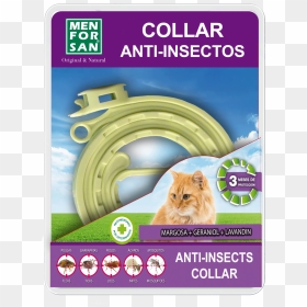 Insect Repellent Collar For Cats - Men For San, HD Png Download - gatos png