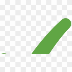 Cpd Guidance Launched - Colorfulness, HD Png Download - green tick png