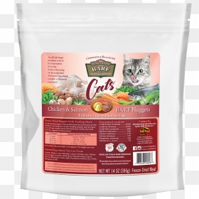 Kitten, HD Png Download - balas png
